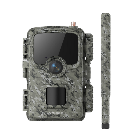 WildCam - 4G Wildkamera - VORBESTELLUNG