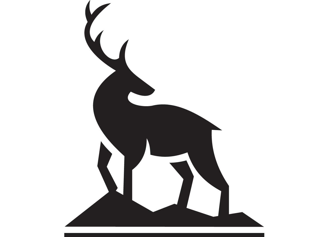 Hunter & Companion GmbH